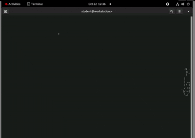 sl-Recording 2025-10-22 073712.gif
