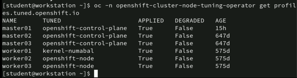 Screenshot From 2025-12-13 12-58-57.png