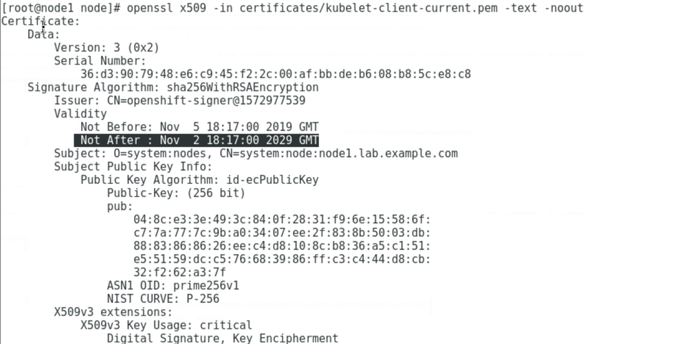Screenshot 2019-11-06 12.07.37.png