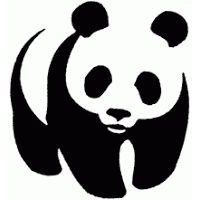panda.jpg
