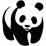 panda.jpg