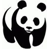 panda.jpg
