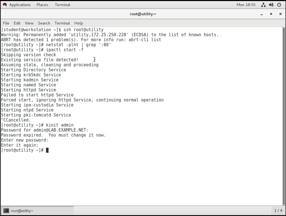 Screen Shot 2020-10-26 at 8.55.57 PM.png