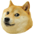 doge.png