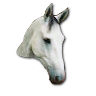 Profile (Susan)