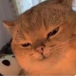 Piiizu_