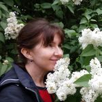 Profile (Svetlana_A)