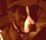 Profile (darthsmall)